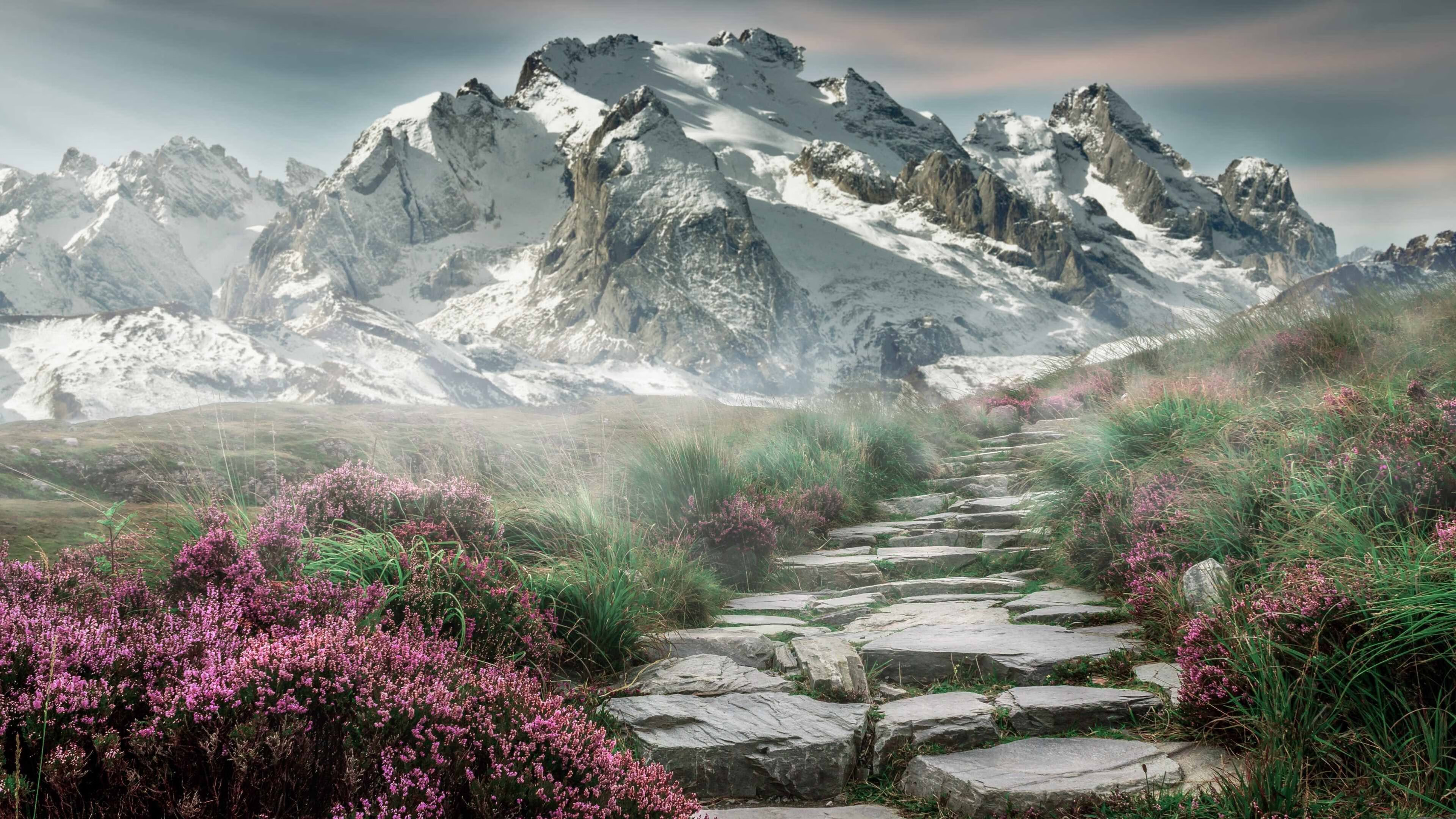 v7.2.5 稳定版正式发布，2026年4月10日，开启高效与可靠的新里程